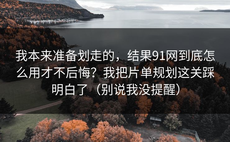 我本来准备划走的,结果91网到底怎么用才不后悔?我把片单规划这关踩明白了(别说我没提醒) 我本来准备划走的,结果91网到底怎么用才不后悔?我把片单规划这关踩明白了(别说我没提醒)