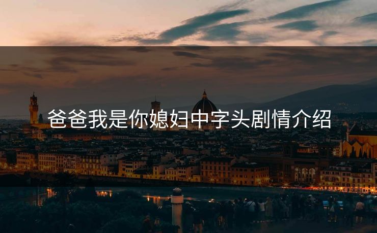 爸爸我是你媳妇中字头剧情介绍