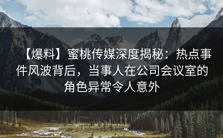【爆料】蜜桃传媒深度揭秘：热点事件风波背后，当事人在公司会议室的角色异常令人意外