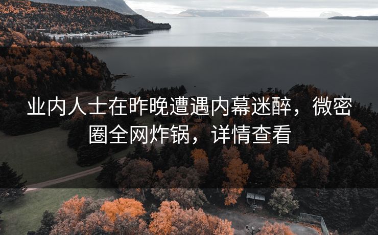 业内人士在昨晚遭遇内幕迷醉，微密圈全网炸锅，详情查看